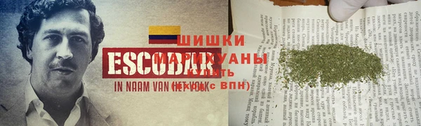 прущие грибы Дмитров