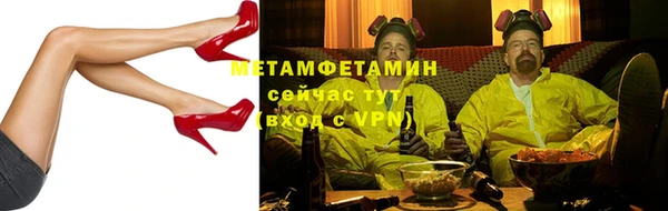 прущие грибы Дмитров