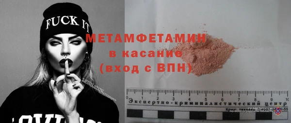 прущие грибы Дмитров