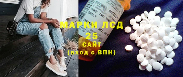 прущие грибы Дмитров