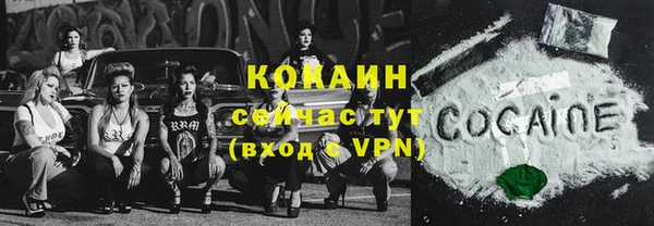 дурь Дмитриев