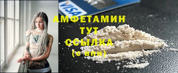 прущие грибы Дмитров