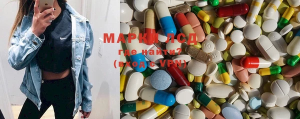 прущие грибы Дмитров