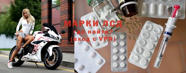 прущие грибы Дмитров