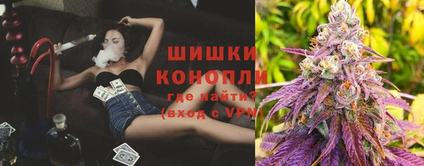 прущие грибы Дмитров